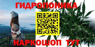 дживик Ливны